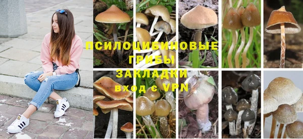 не бодяженный Алзамай