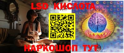 бошки Владимир