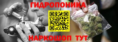 шишки Владикавказ