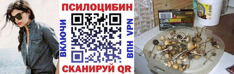 Галлюциногенные грибы Psilocybine cubensis Алексеевка
