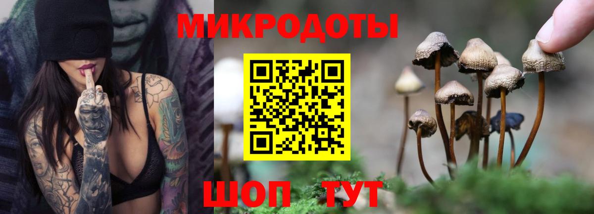 Алексеевка  Галлюциногенные грибы мицелий  Псилоцибиновые грибы Psilocybe  Вход с VPN 